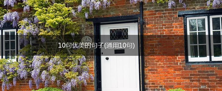 10句优美的句子(通用10句),第1张
