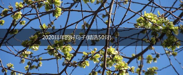 2020拜年的好句子(精选50句),第1张