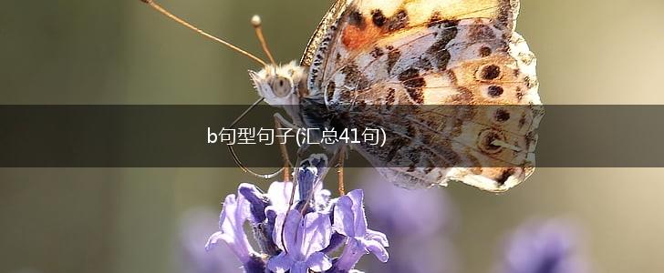 b句型句子(汇总41句),第1张