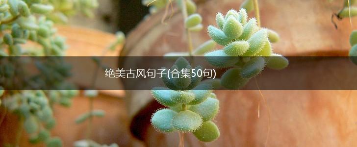 绝美古风句子(合集50句),第1张