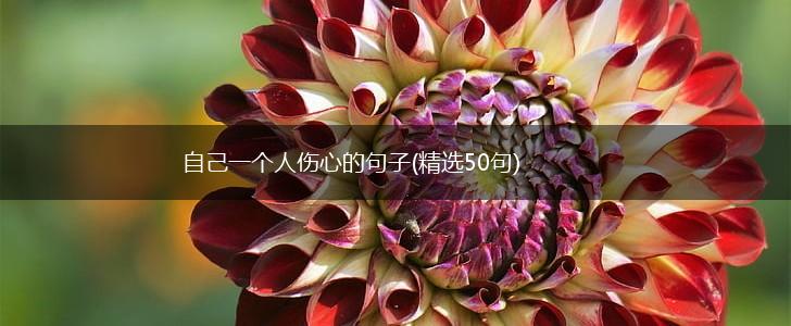 自己一个人伤心的句子(精选50句),第1张