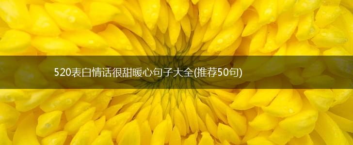 520表白情话很甜暖心句子大全(推荐50句),第1张