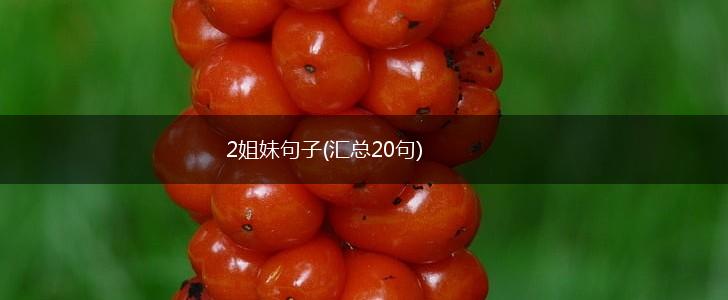 2姐妹句子(汇总20句),第1张