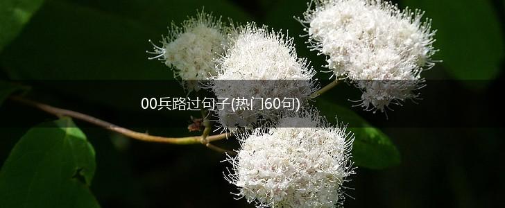 00兵路过句子(热门60句),第1张