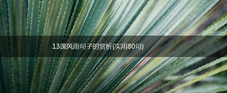 13课风雨句子的赏析(实用80句),第1张