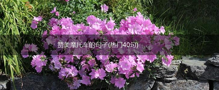 赞美摩托车的句子(热门40句),第1张