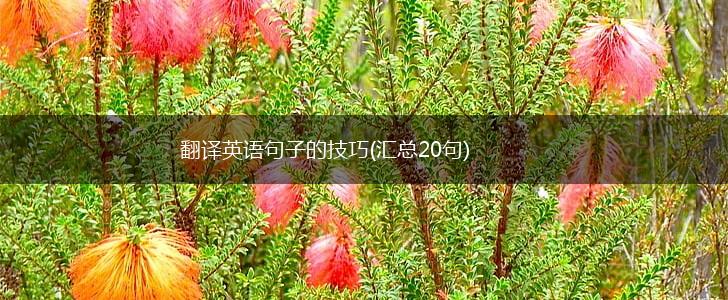 翻译英语句子的技巧(汇总20句),第1张