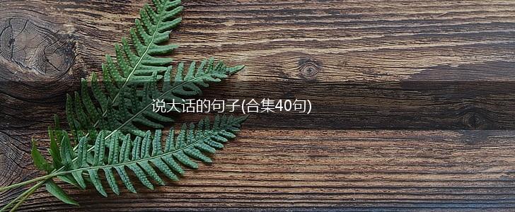 说大话的句子(合集40句),第1张