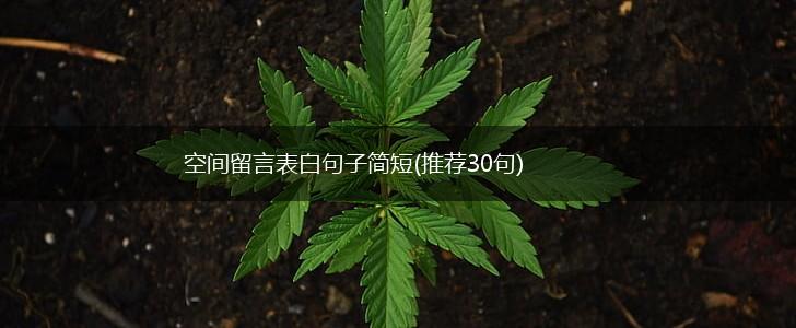 空间留言表白句子简短(推荐30句),第1张