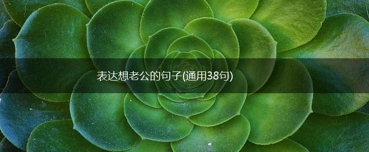 表达想老公的句子(通用38句),第1张