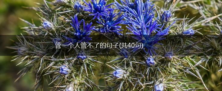 管一个人管不了的句子(共40句),第1张