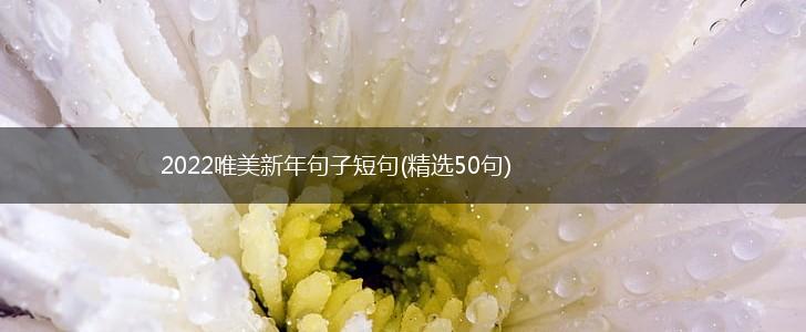 2022唯美新年句子短句(精选50句),第1张