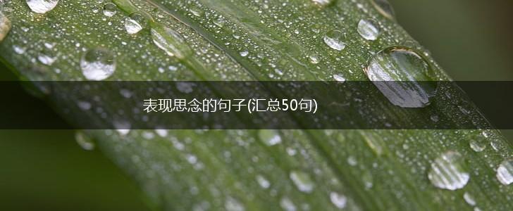 表现思念的句子(汇总50句),第1张