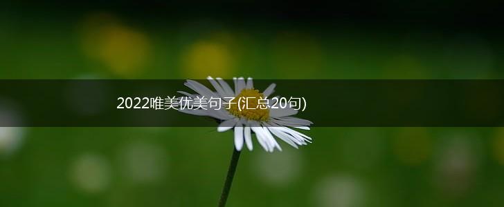 2022唯美优美句子(汇总20句),第1张