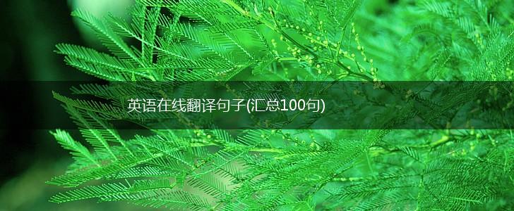 英语在线翻译句子(汇总100句),第1张