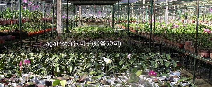 against介词句子(必备50句),第1张