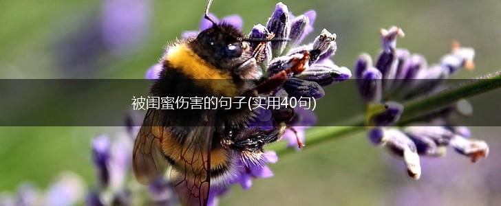 被闺蜜伤害的句子(实用40句),第1张