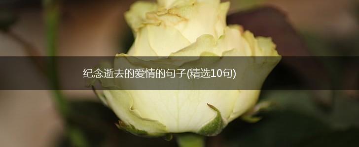 纪念逝去的爱情的句子(精选10句),第1张