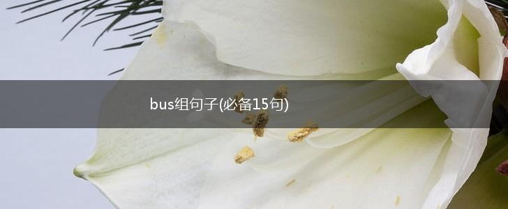 bus组句子(必备15句),第1张