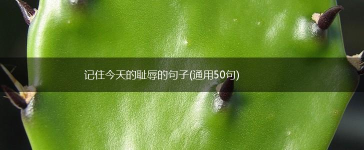 记住今天的耻辱的句子(通用50句),第1张