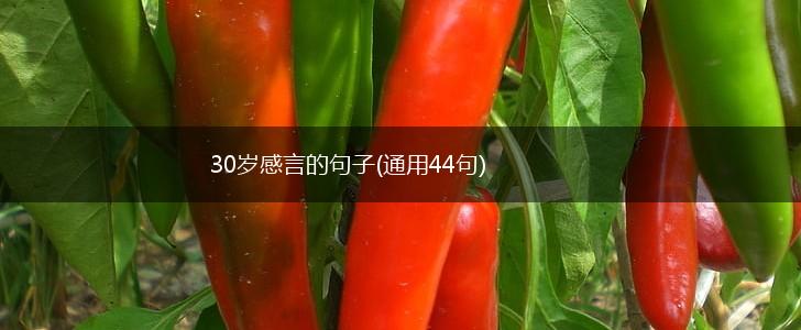 30岁感言的句子(通用44句),第1张