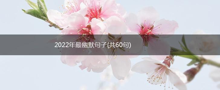 2022年最幽默句子(共60句),第1张