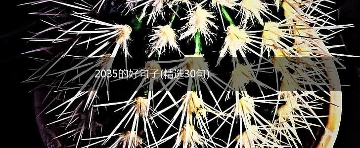 2035的好句子(精选30句),第1张