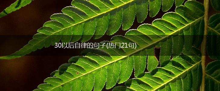 30以后自律的句子(热门21句),第1张