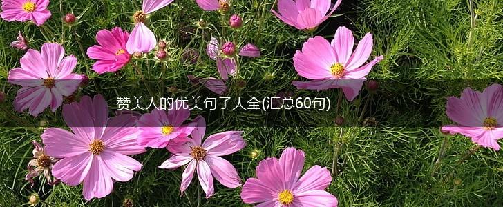 赞美人的优美句子大全(汇总60句),第1张