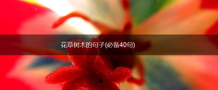 花草树木的句子(必备40句),第1张