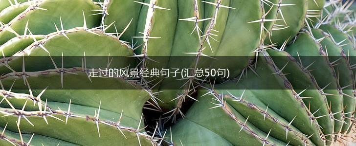 走过的风景经典句子(汇总50句),第1张