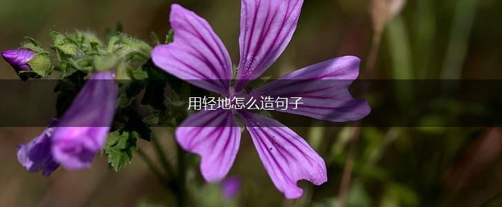 用轻地怎么造句子,第1张