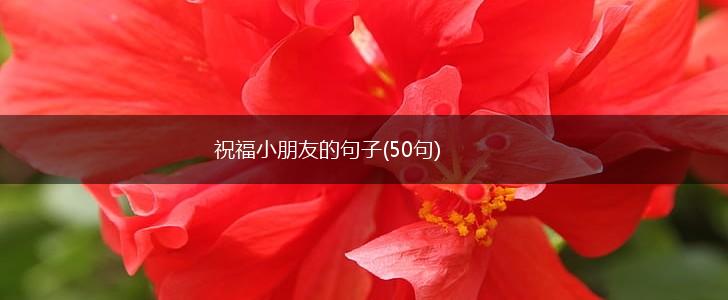 祝福小朋友的句子(50句),第1张