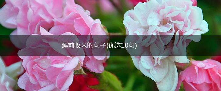 睡前收米的句子(优选10句),第1张