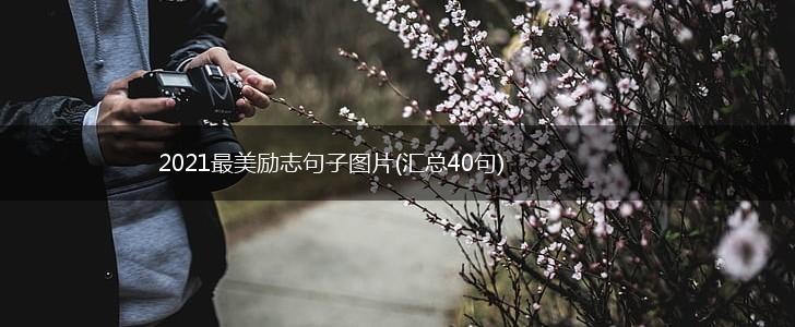 2021最美励志句子图片(汇总40句),第1张