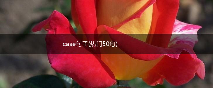 case句子(热门50句),第1张