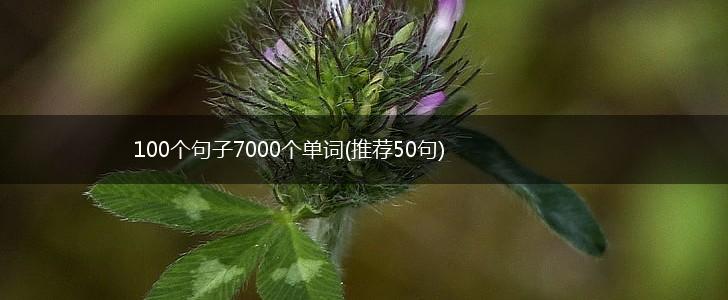 100个句子7000个单词(推荐50句),第1张