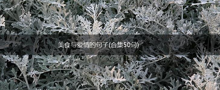 美食与爱情的句子(合集50句),第1张