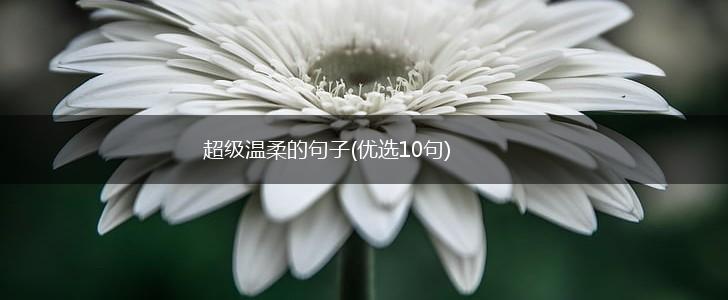 超级温柔的句子(优选10句),第1张