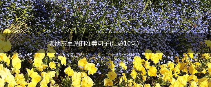 老朋友重逢的唯美句子(汇总10句),第1张