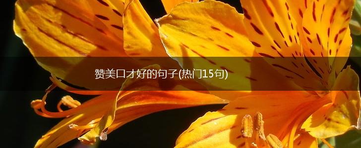 赞美口才好的句子(热门15句),第1张