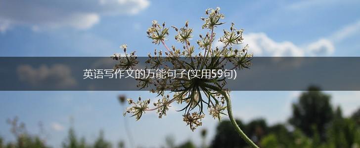 英语写作文的万能句子(实用59句),第1张
