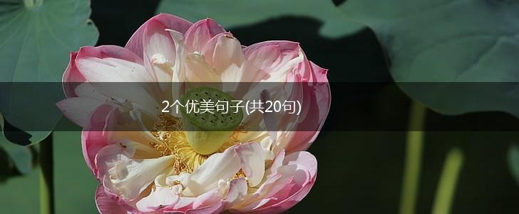 2个优美句子(共20句),第1张