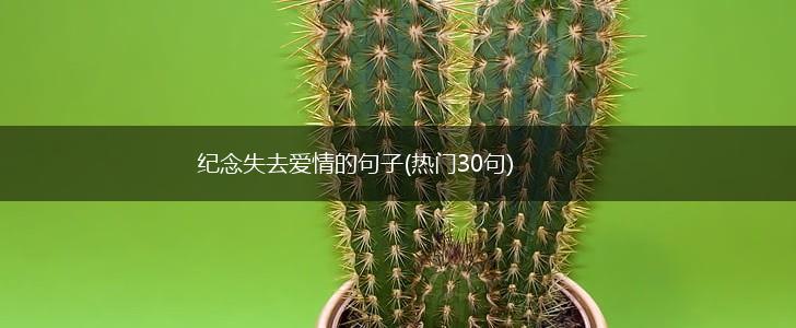 纪念失去爱情的句子(热门30句),第1张