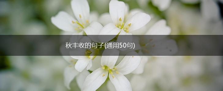 秋丰收的句子(通用50句),第1张
