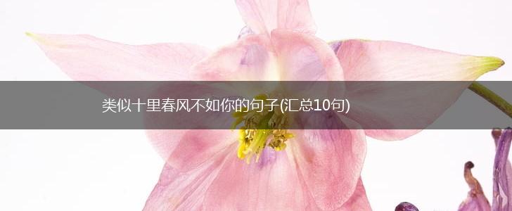 类似十里春风不如你的句子(汇总10句),第1张
