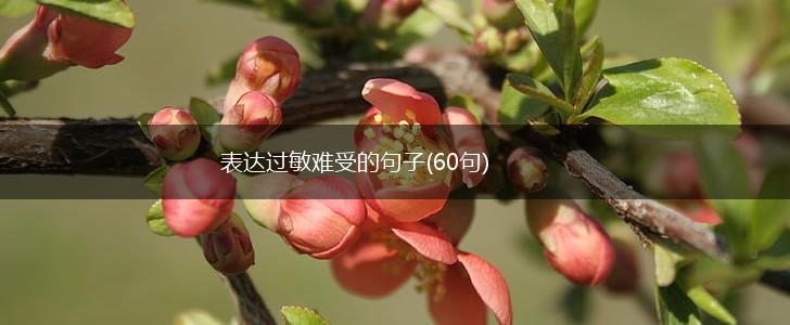 表达过敏难受的句子(60句),第1张