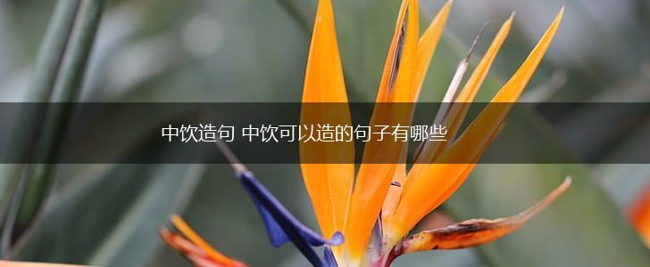 中饮造句 中饮可以造的句子有哪些,第1张