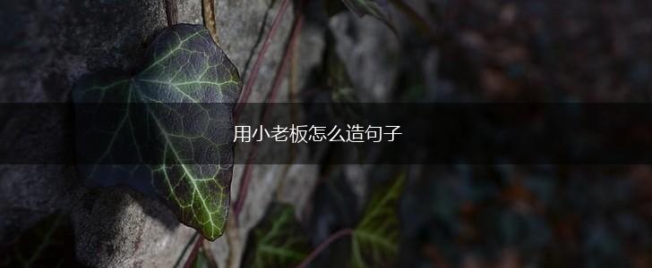 用小老板怎么造句子,第1张