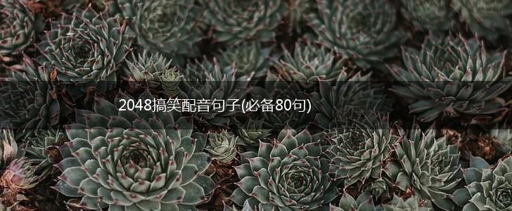 2048搞笑配音句子(必备80句),第1张